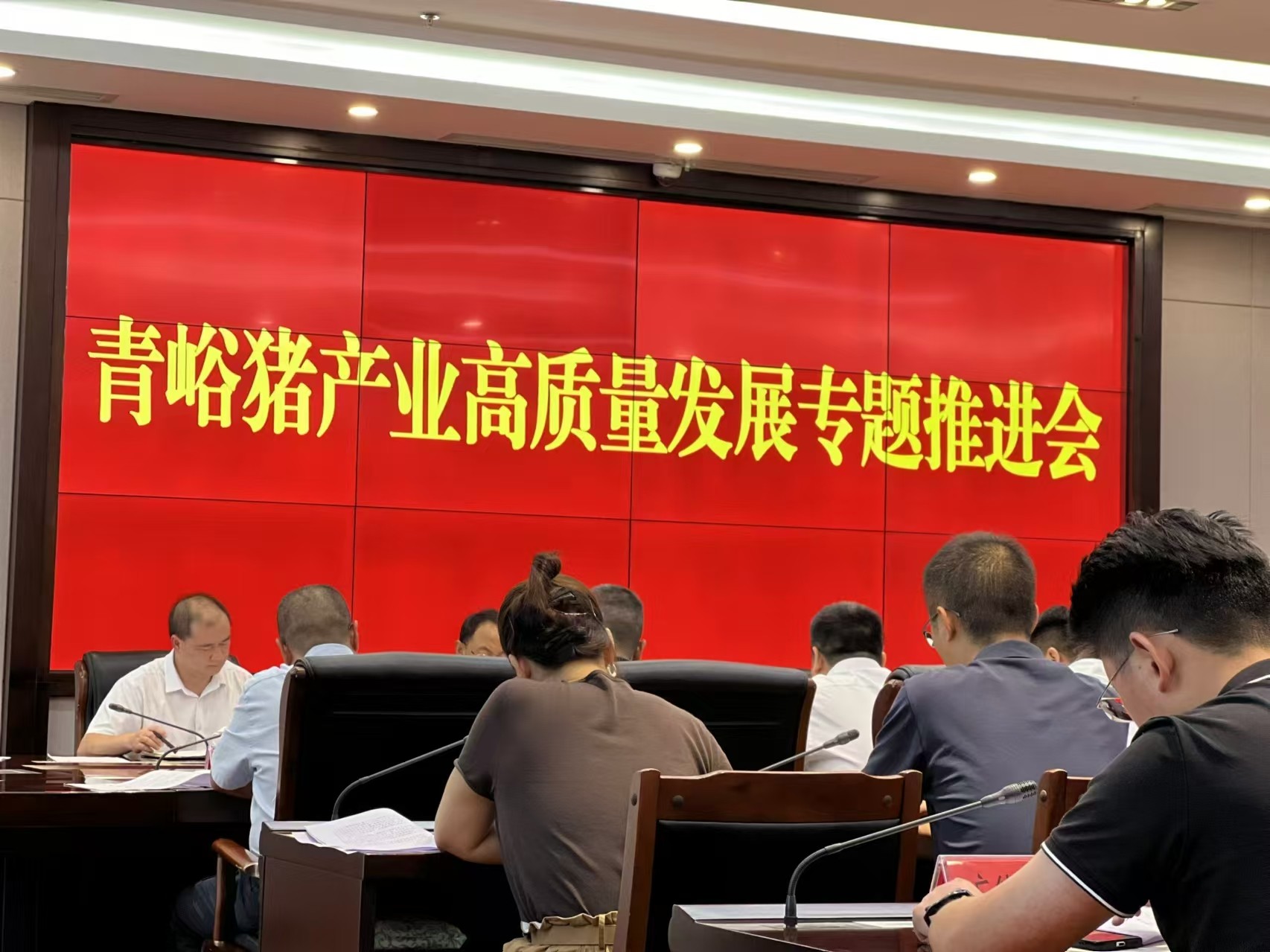 關(guān)于推動(dòng)巴山牧業(yè)青峪豬產(chǎn)業(yè)高質(zhì)量發(fā)展的專(zhuān)題推進(jìn)會(huì)