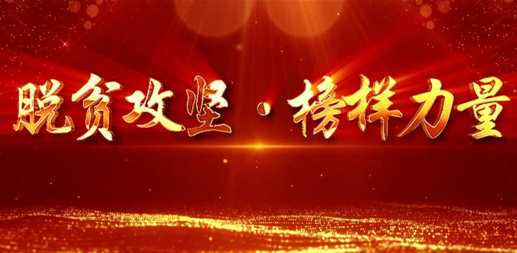 全國脫貧攻堅總結(jié)表彰大會在北京人民大會堂隆重舉行