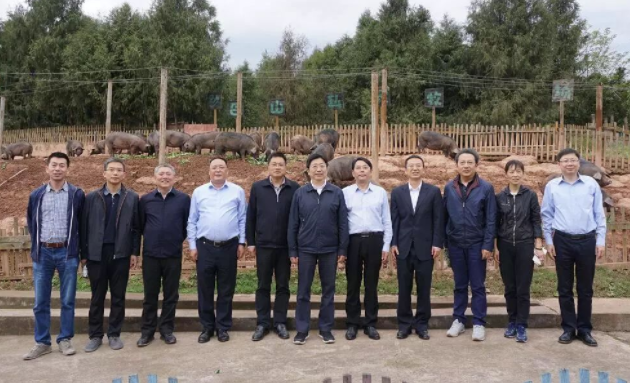 譚炯副行長一行重點走訪巴山牧業(yè)