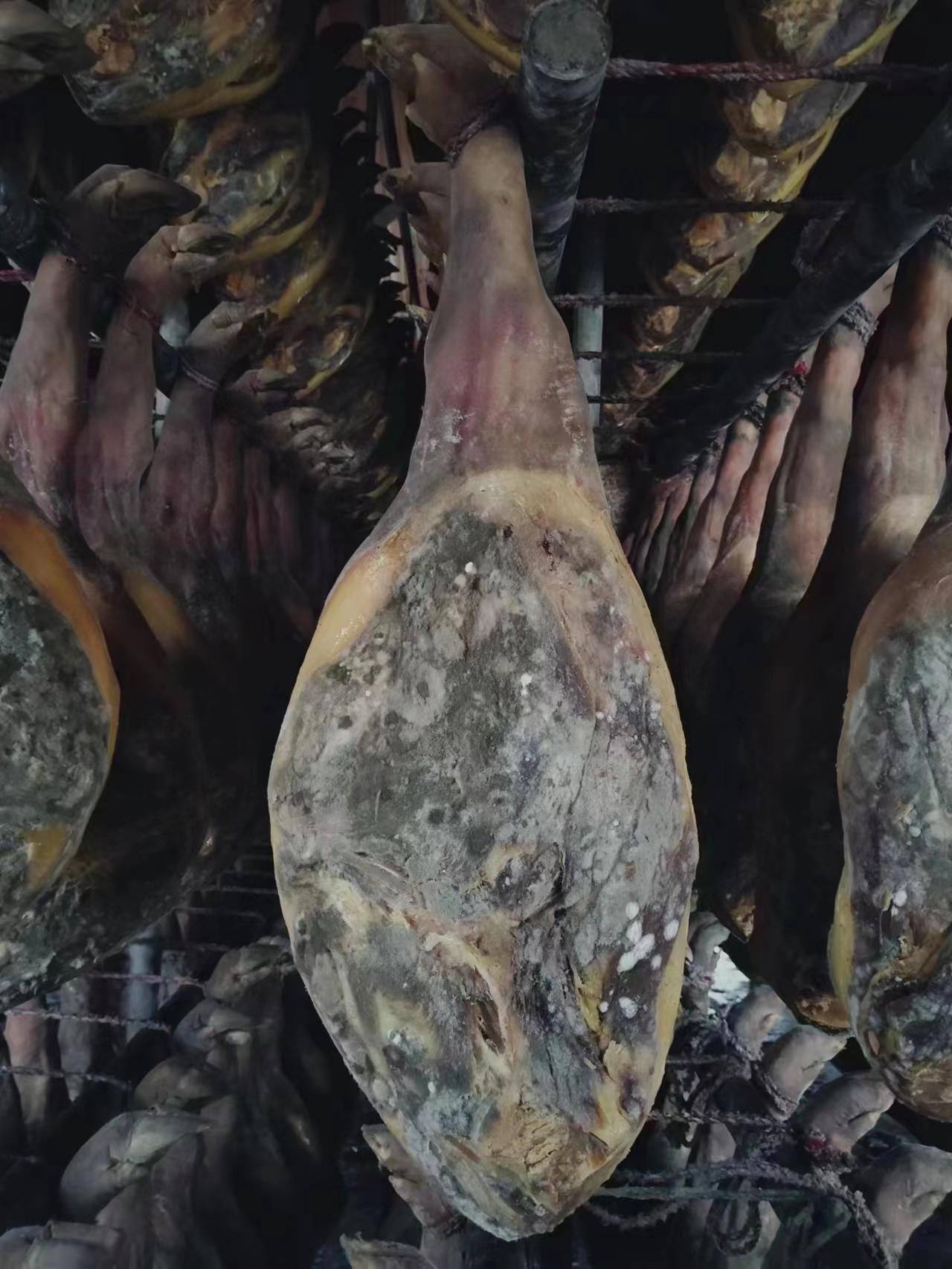 巴山牧業(yè)與金華火腿戰(zhàn)略合作